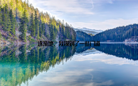 逐渐地, 我摸到了一些门道