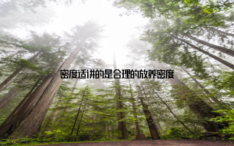 密度适讲的是合理的放养密度