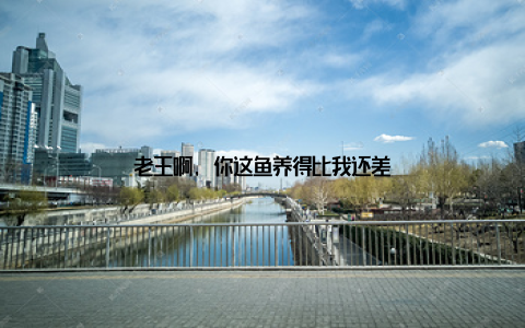 老王啊, 你这鱼养得比我还差