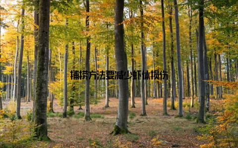 捕捞方法要减少虾体损伤