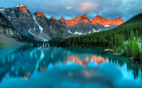 避免在繁殖期5-7月大规模收获