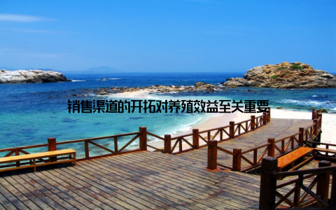 销售渠道的开拓对养殖效益至关重要