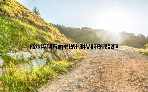 成本控制方面呈现出明显的规模效应