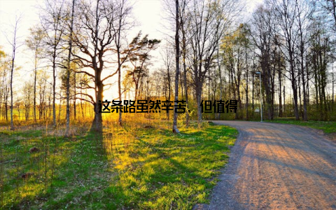 这条路虽然辛苦, 但值得