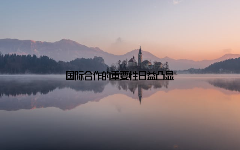 国际合作的重要性日益凸显