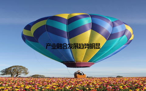 产业融合发展趋势明显
