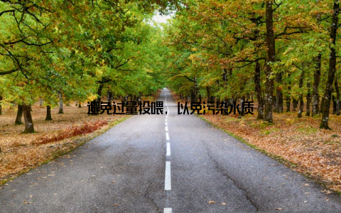 避免过量投喂, 以免污染水质