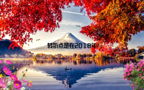 转折点是在2018年