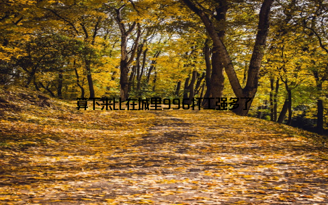 算下来比在城里996打工强多了