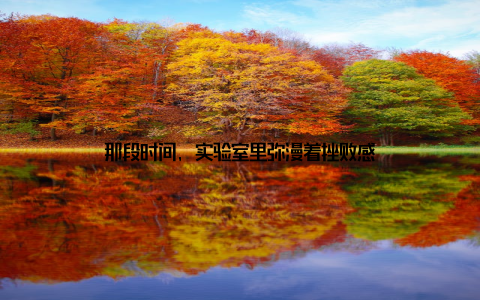 那段时间, 实验室里弥漫着挫败感