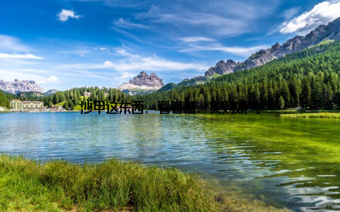 沙甲这东西, 看着糙, 实则娇气