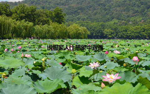 说服家人比想象中艰难