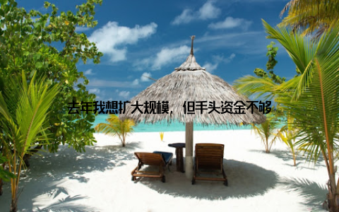 去年我想扩大规模, 但手头资金不够