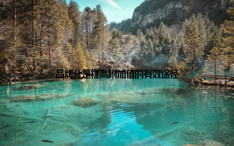 品牌化是提高附加值的有效途径