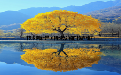 技术创新是可持续发展的核心动力