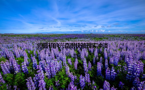 但最初的兴奋很快被现实冲淡