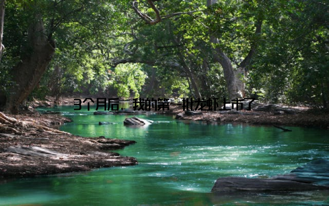 3个月后, 我的第一批龙虾上市了